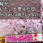 桜の花見の画像